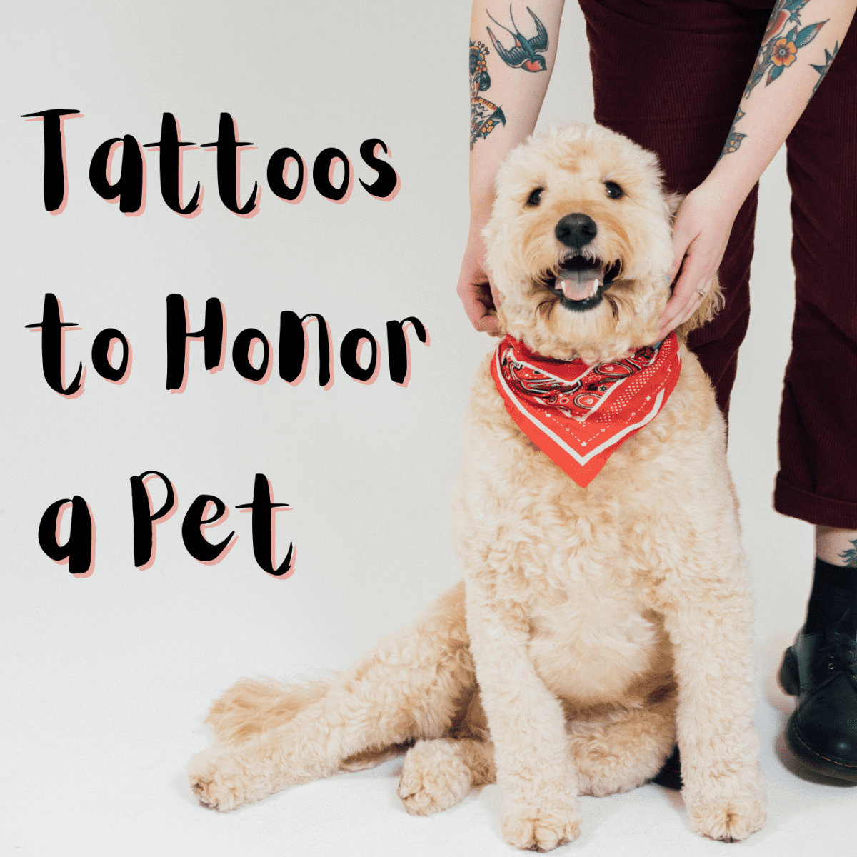 Pet Memorial Tattoos  My Pets Ashes