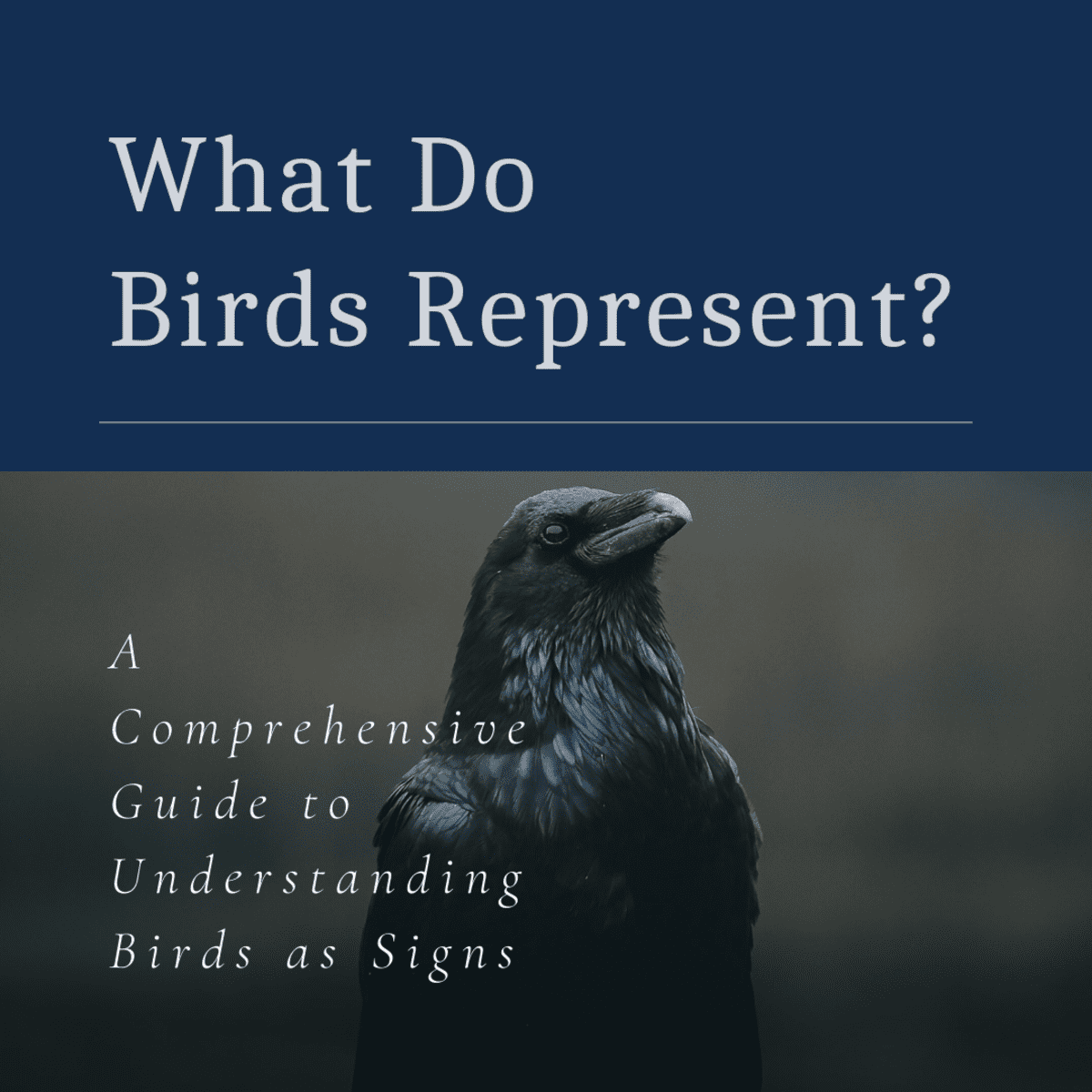 How to Read Birds as Omens and Signs - Exemplore