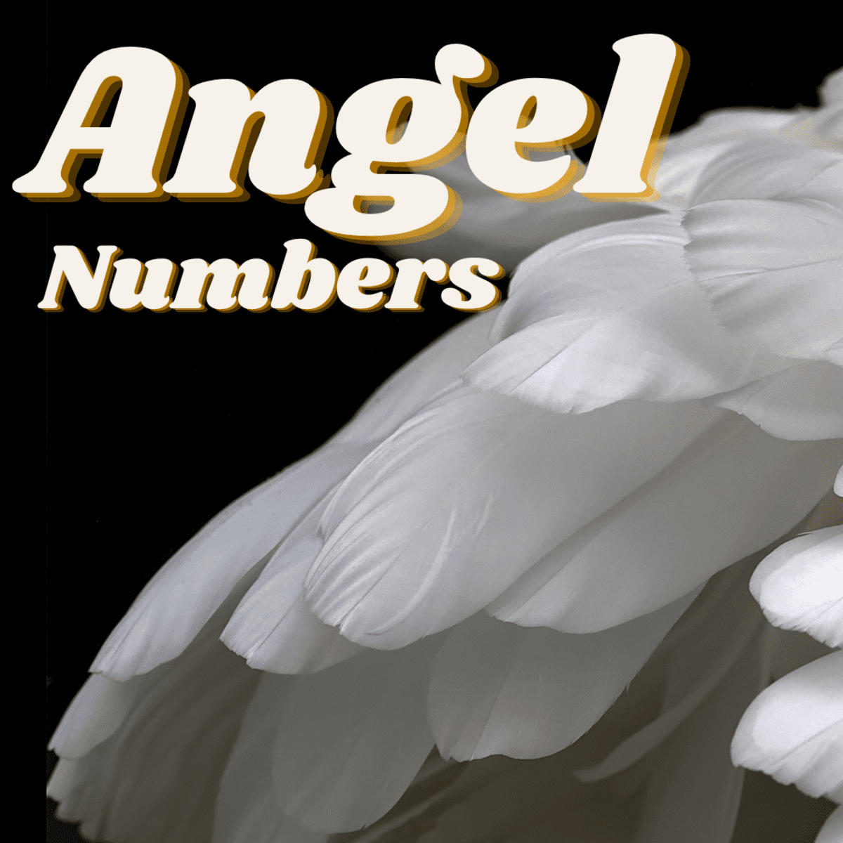 11:11: Revealing the Meaning and Messages of Angel Numbers - BEST SELF