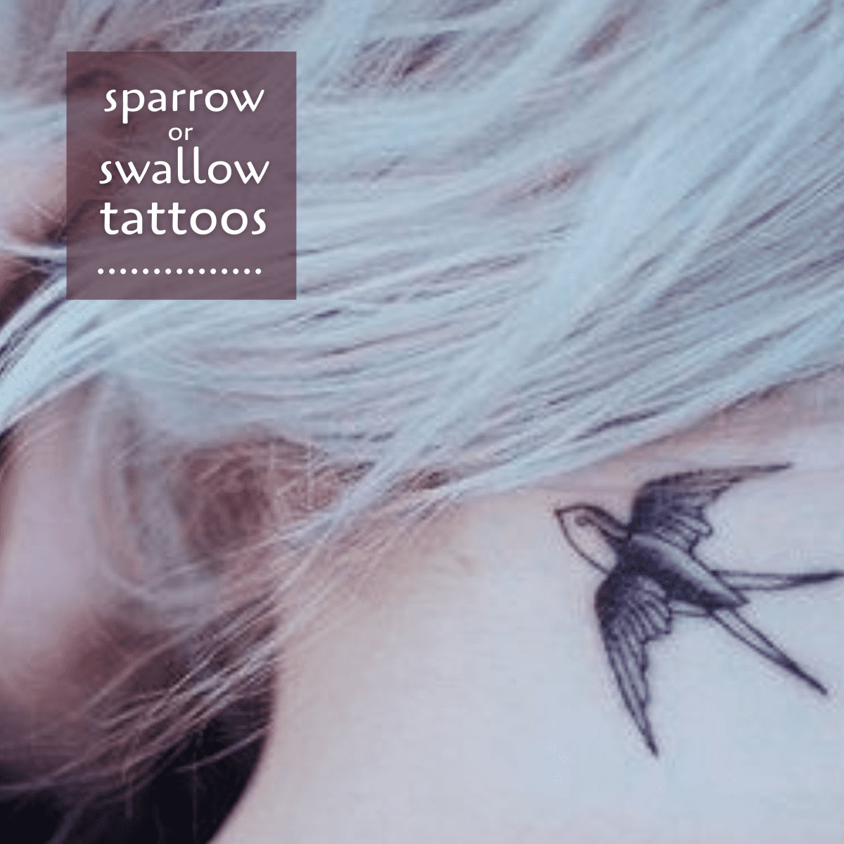 Tattoo Ideas: Sparrows and Swallows - TatRing
