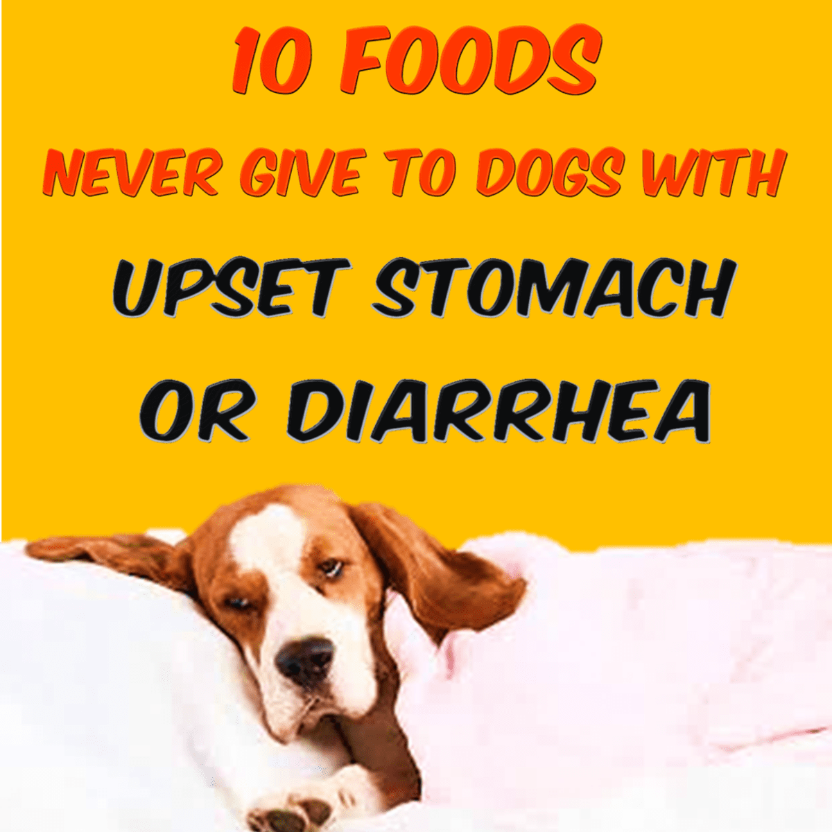 can-flaxseed-cause-diarrhea-in-dogs