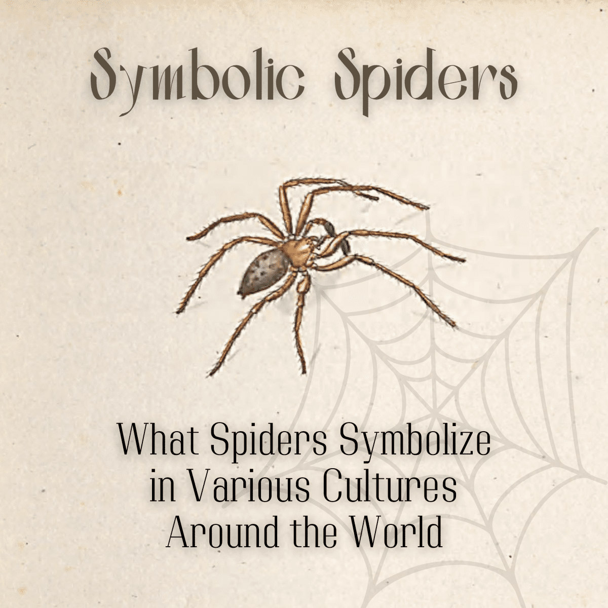 Cultural Interpretations of Spiders: What Spiders Symbolize Around the  World - Owlcation
