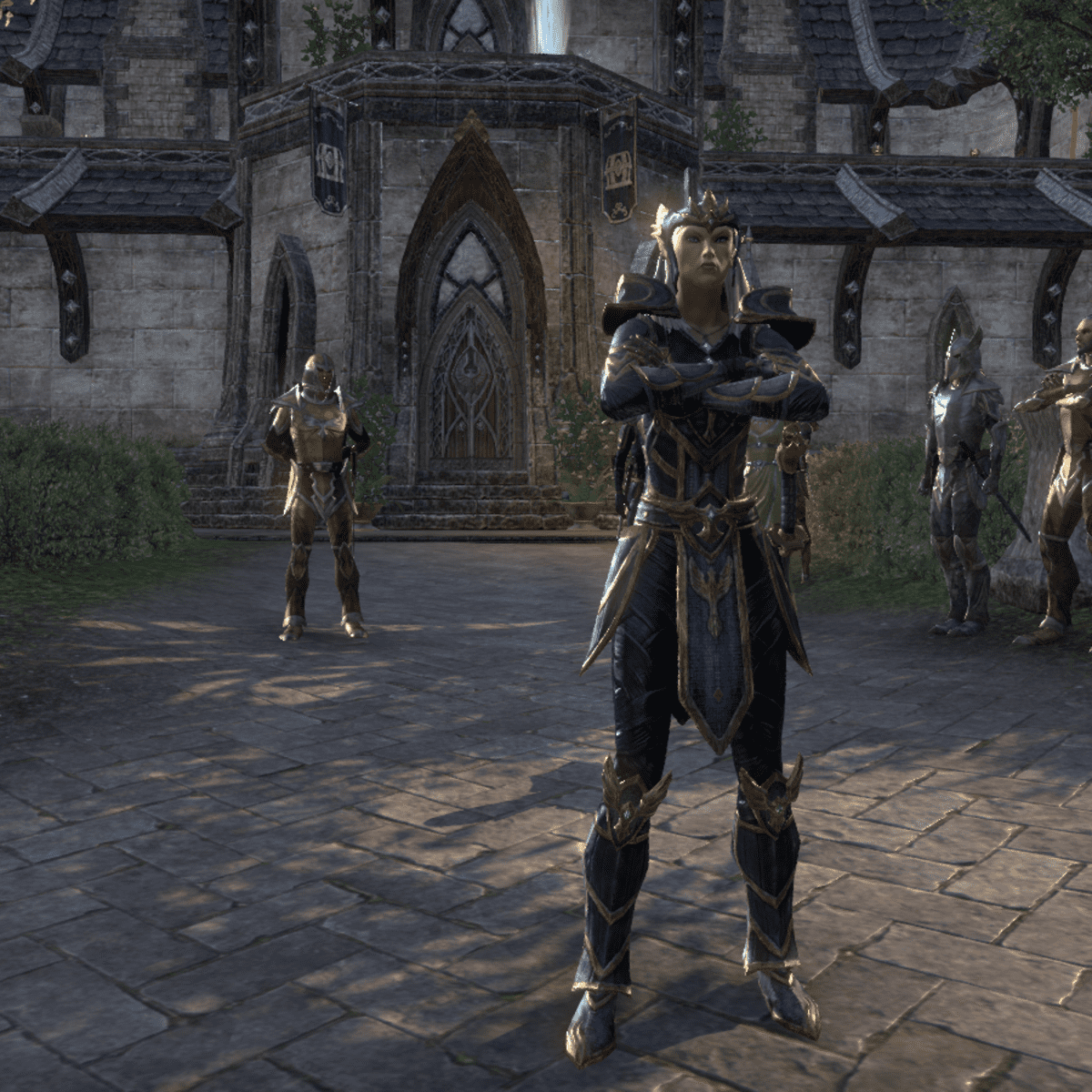 An Introduction to the Races of The Elder Scrolls - HubPages, image size:1200x1200