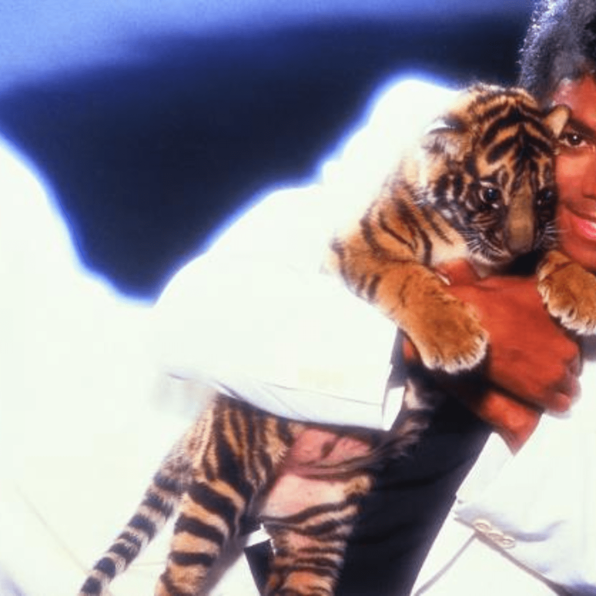 michael jackson thriller album tiger