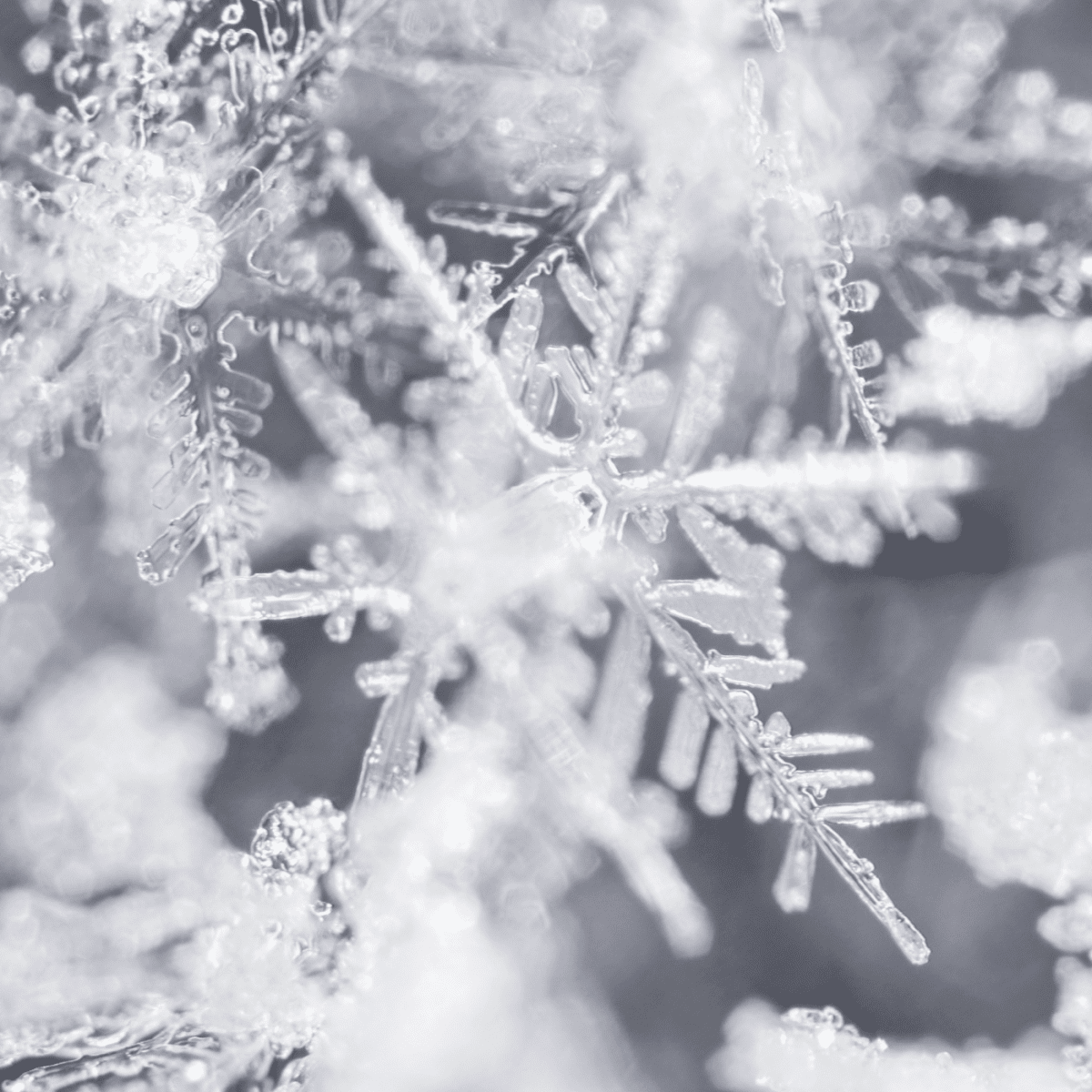 The science and poetry of snowflakes