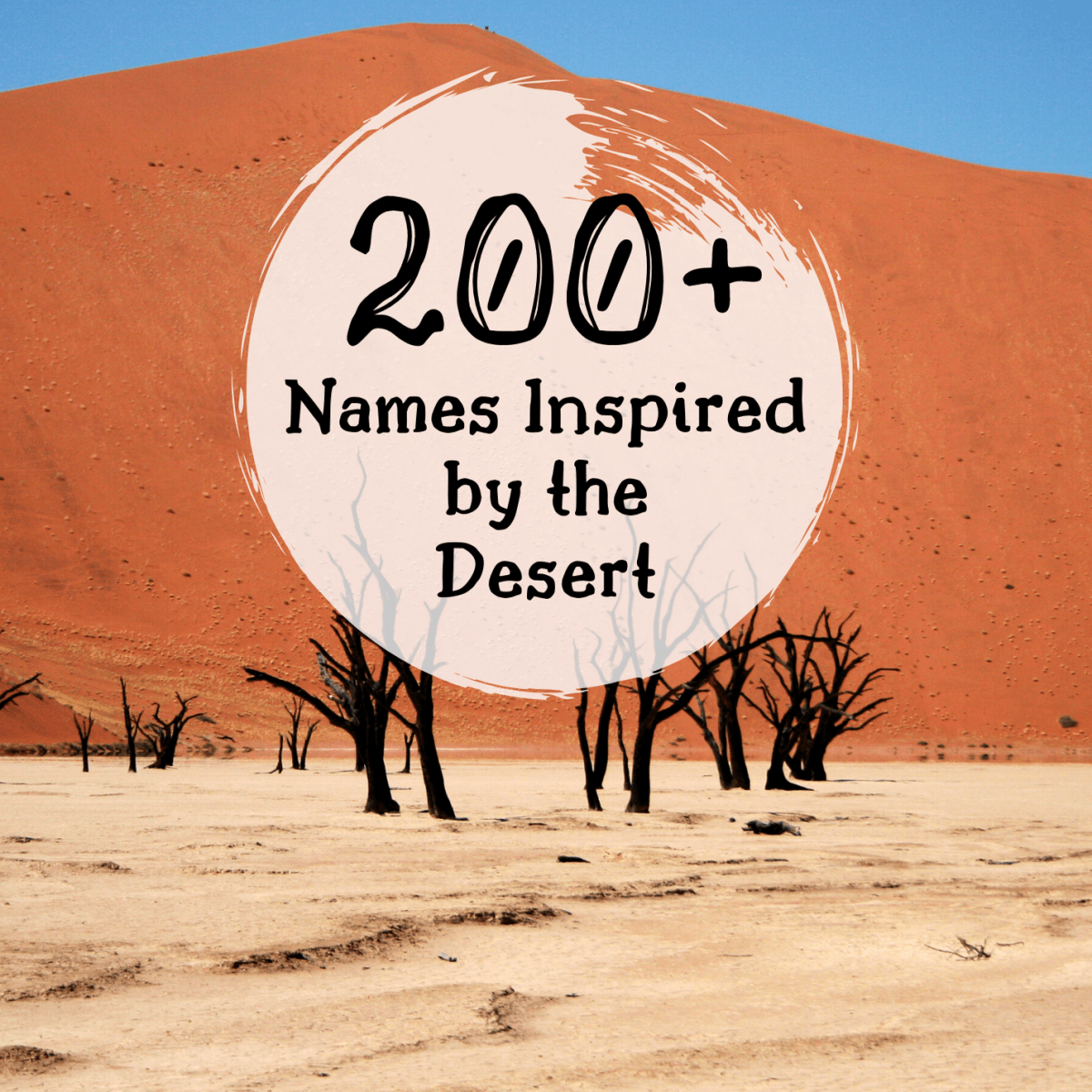 Baby Names Inspired By The Desert Wehavekids