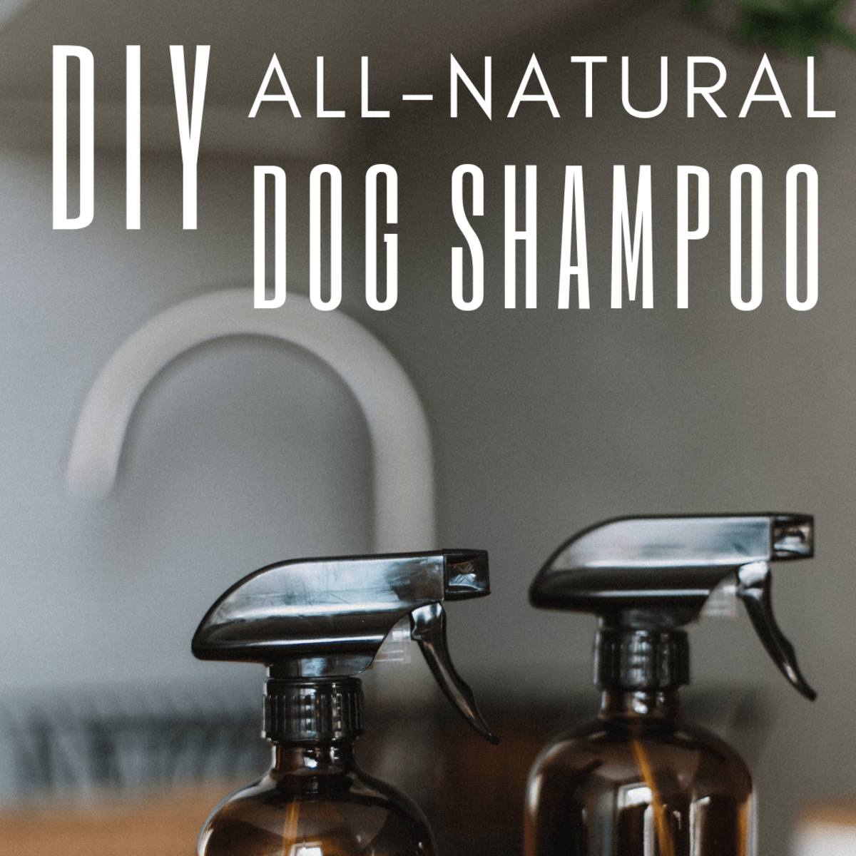 all natural dog shampoo recipe