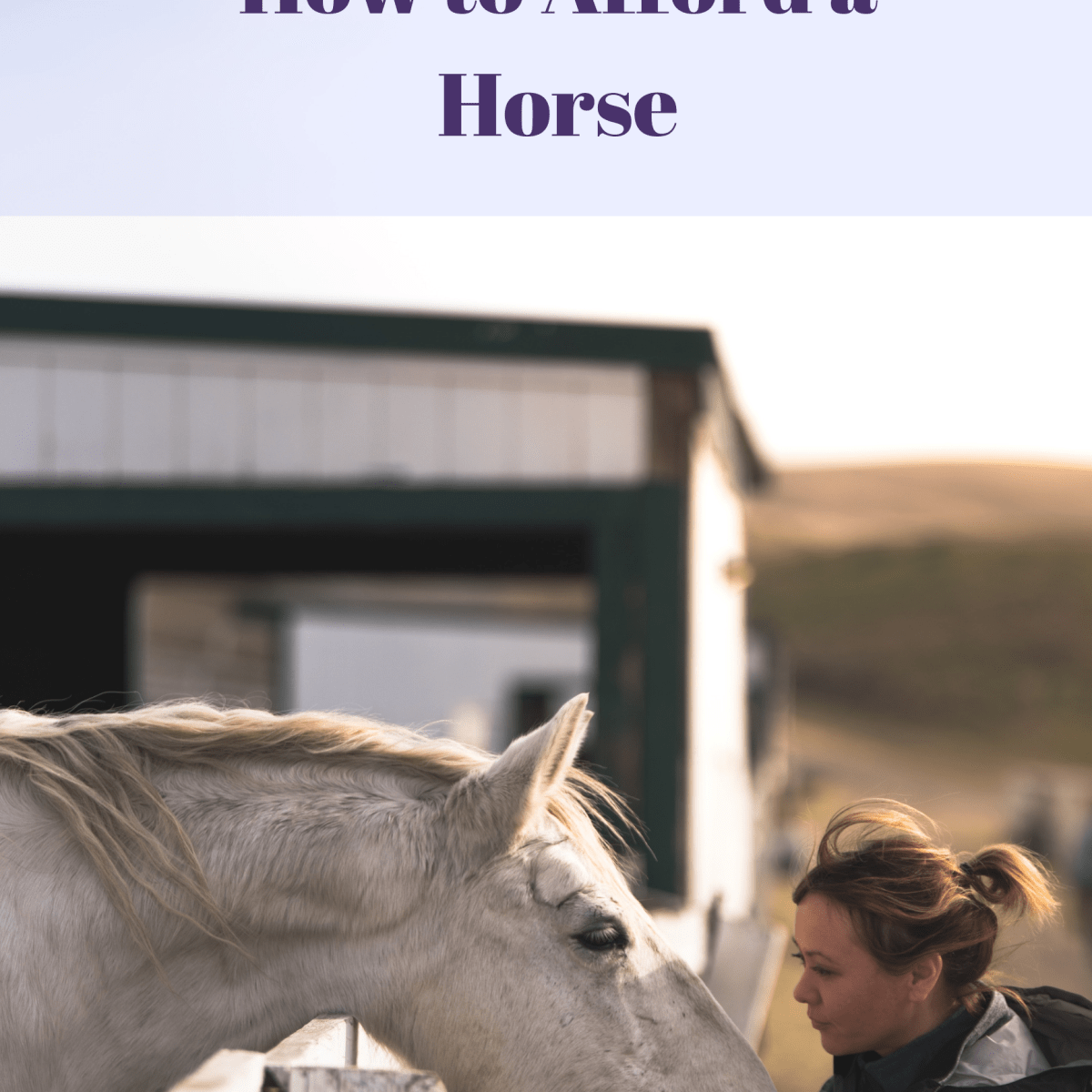 How To Afford A Horse As A Teen Pethelpful By Fellow Animal Lovers And Experts