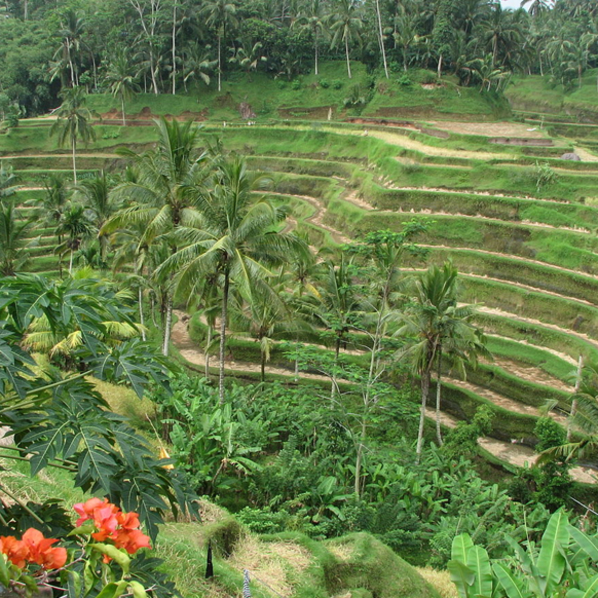 How To Stay Safe While Vacationing In Bali Wanderwisdom Travel