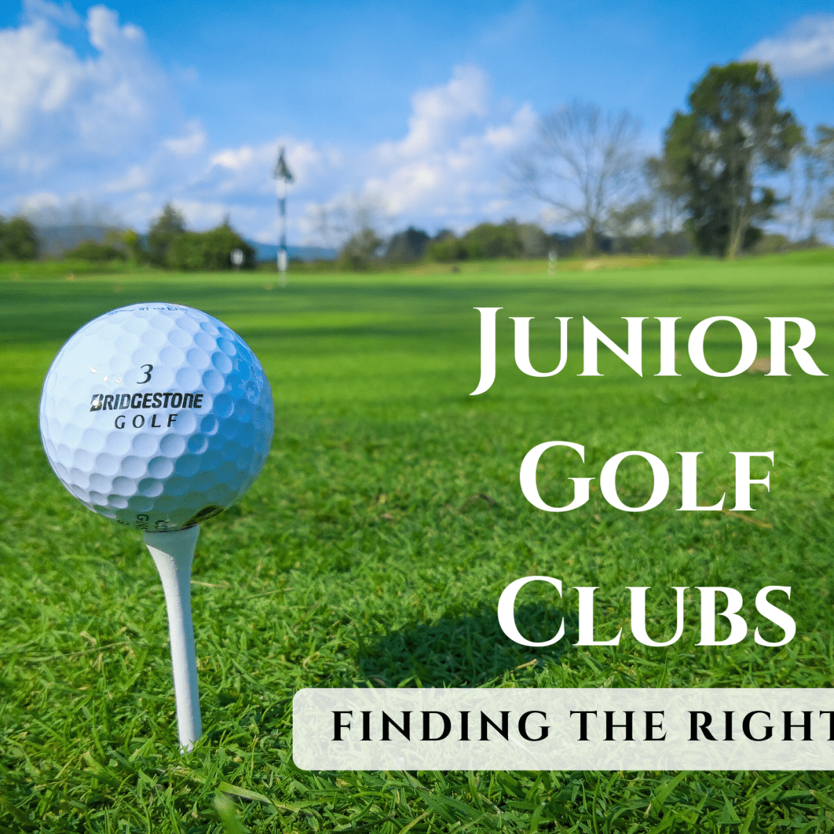 best clubs for average golfer