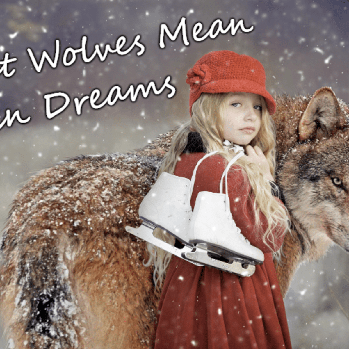 What Do Dreams About Wolves Mean Exemplore