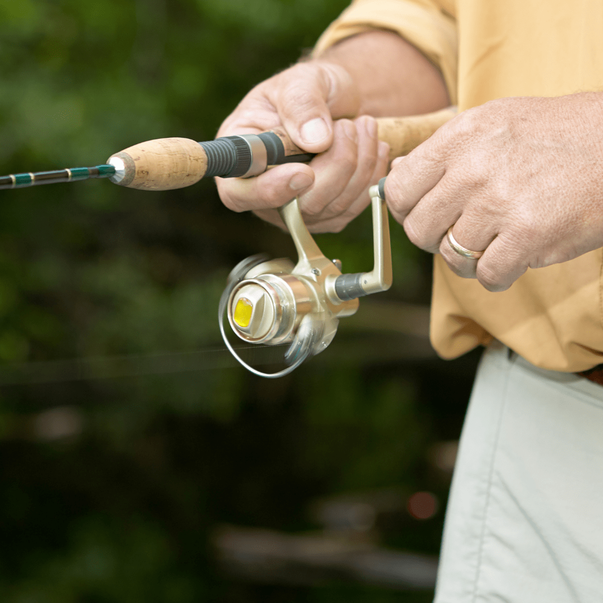 box elder creek fishing  Box Elder Creek fishing reports Mantua, UT (United States) fishing