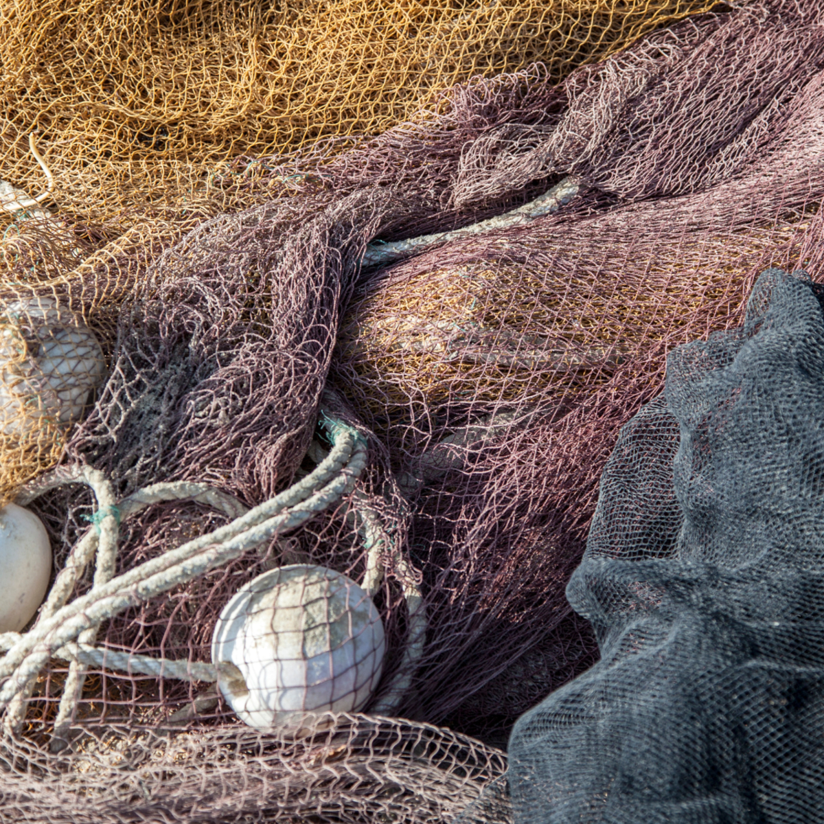 crab fishing with net How to Crab Fish With a Net