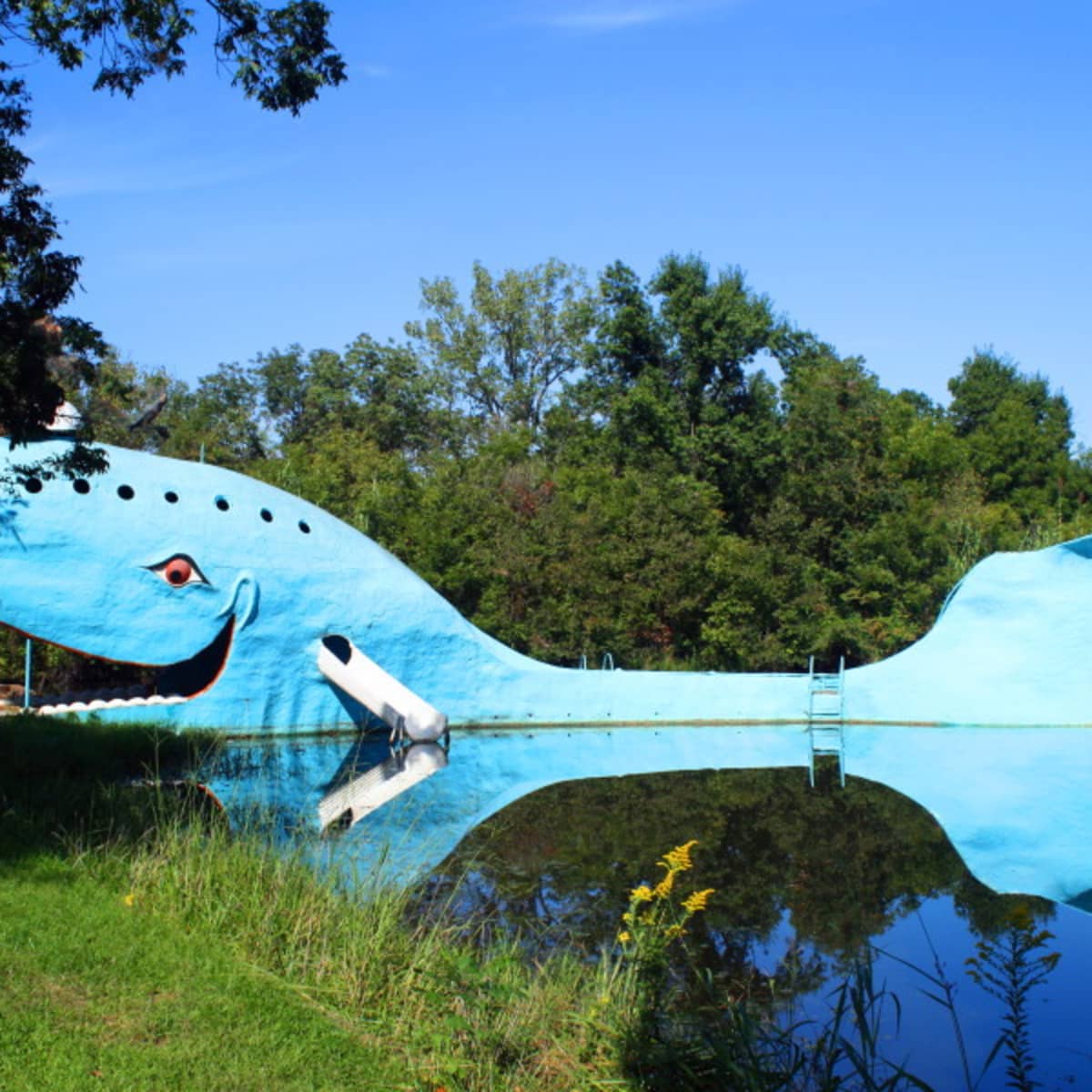 History of the Blue Whale of Catoosa: An Oklahoma Whale of a Tale