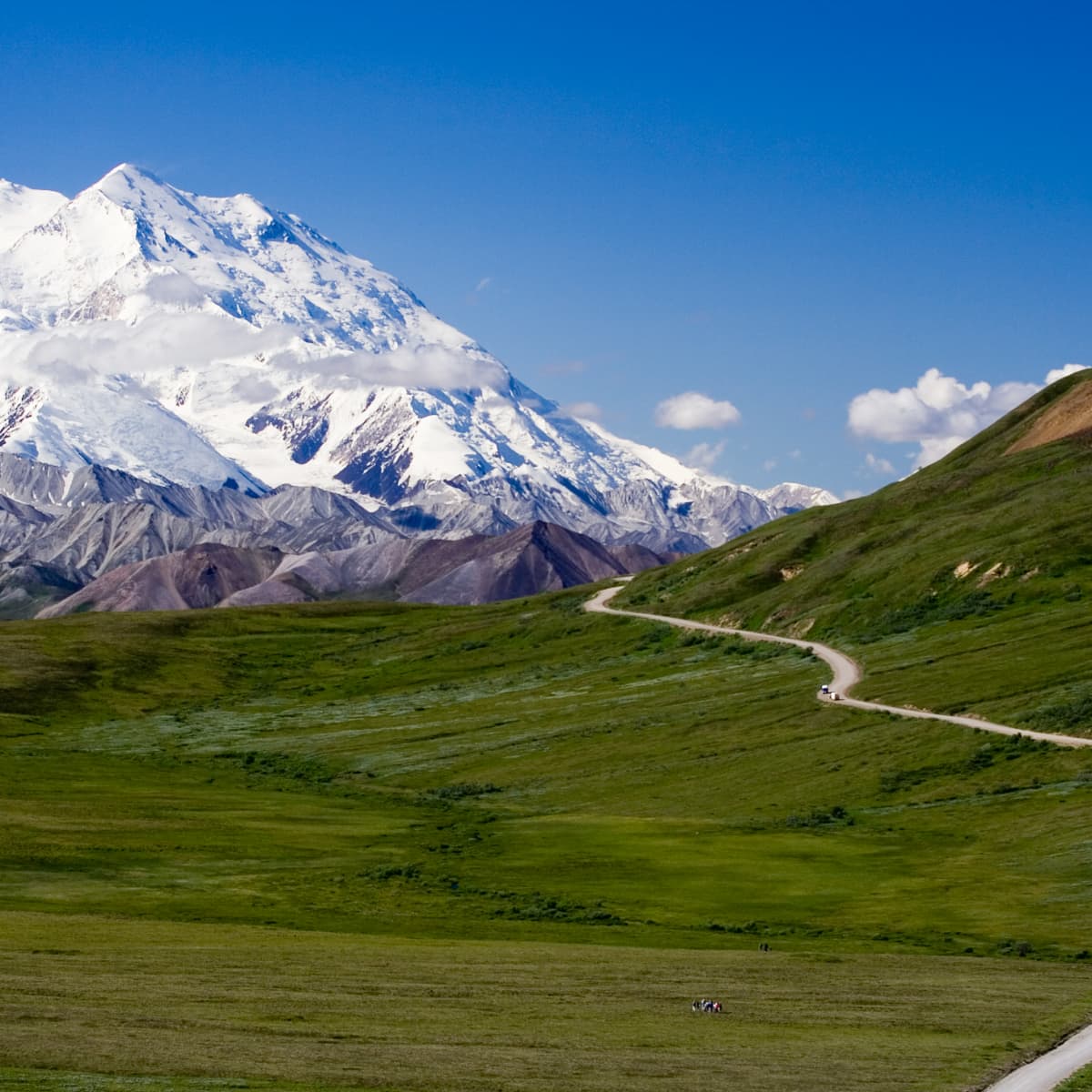 Visiting Denali National Park The Last Great Frontier WanderWisdom