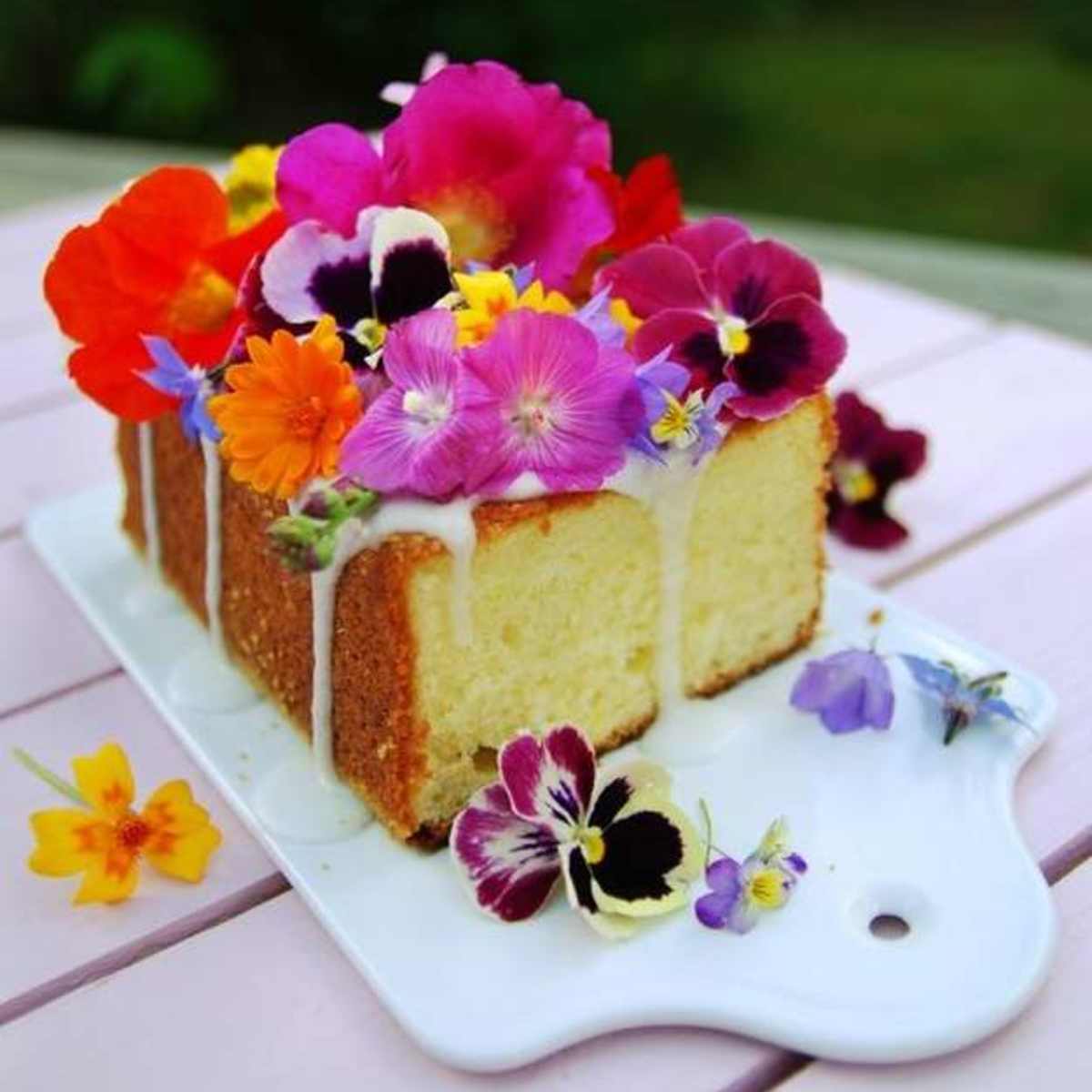 Edible Flowers Where To Buy Philippines 180 Edible Flowers Ideas