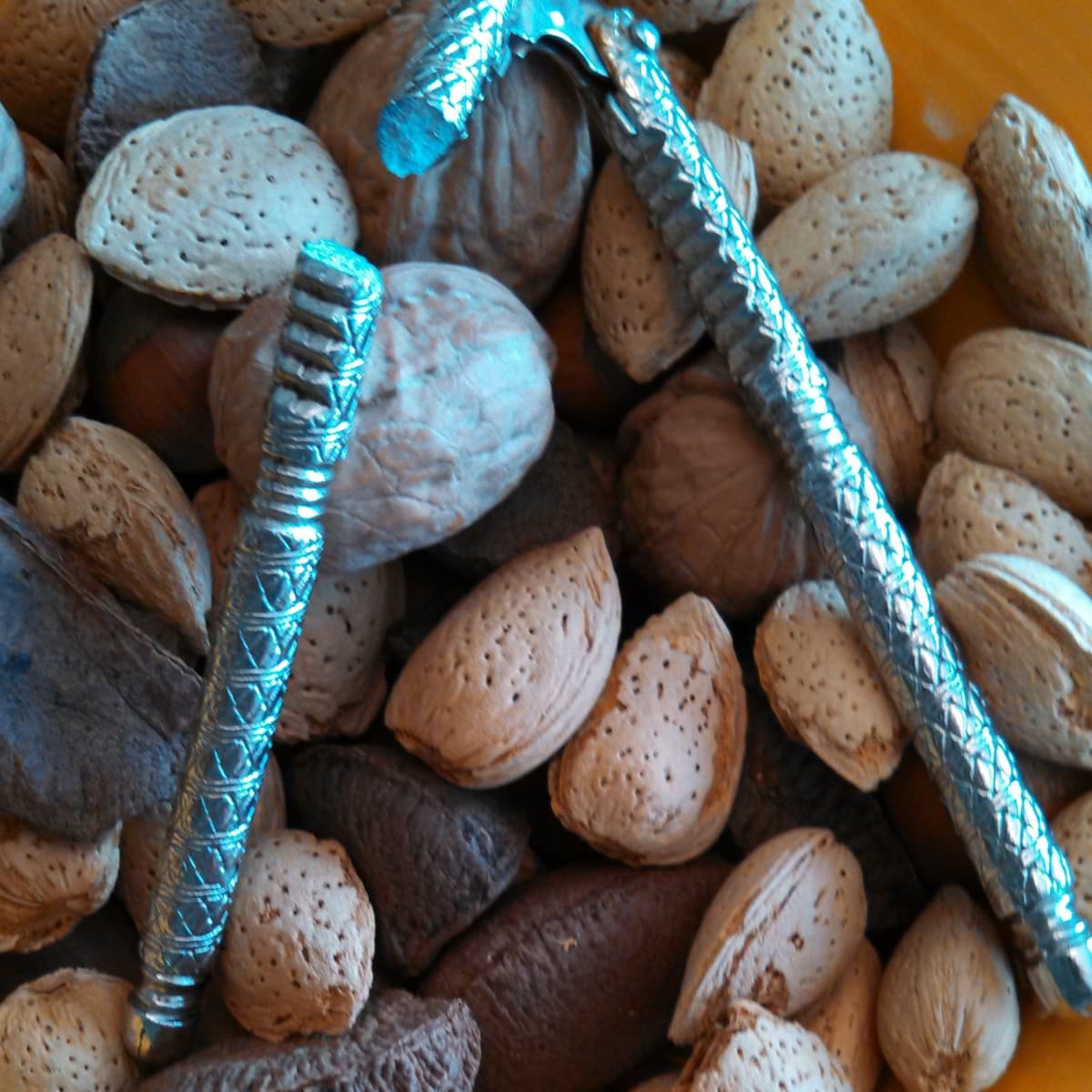 Nutcracker: What Is the Best Nutcracker for Pecans, Walnuts