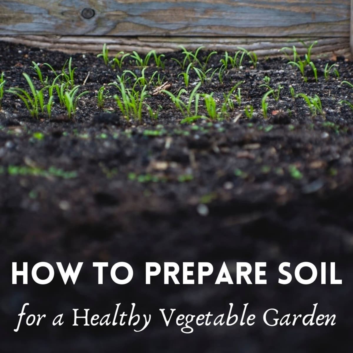 vegetable garden fall soil preparation