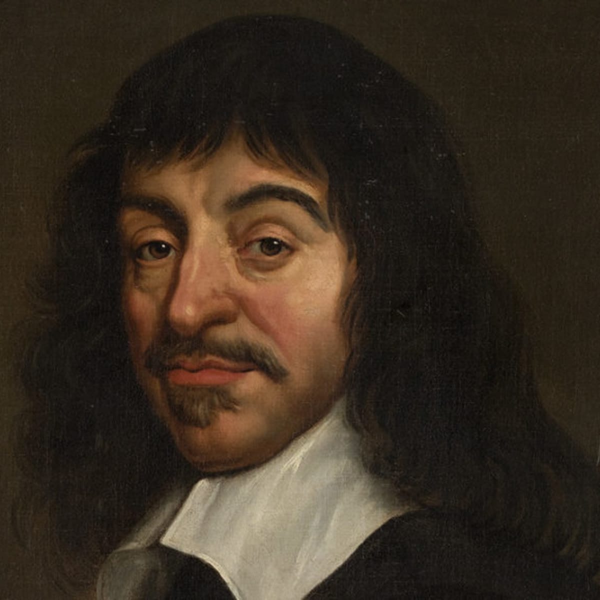 René Descartes: Main Ideas - Owlcation