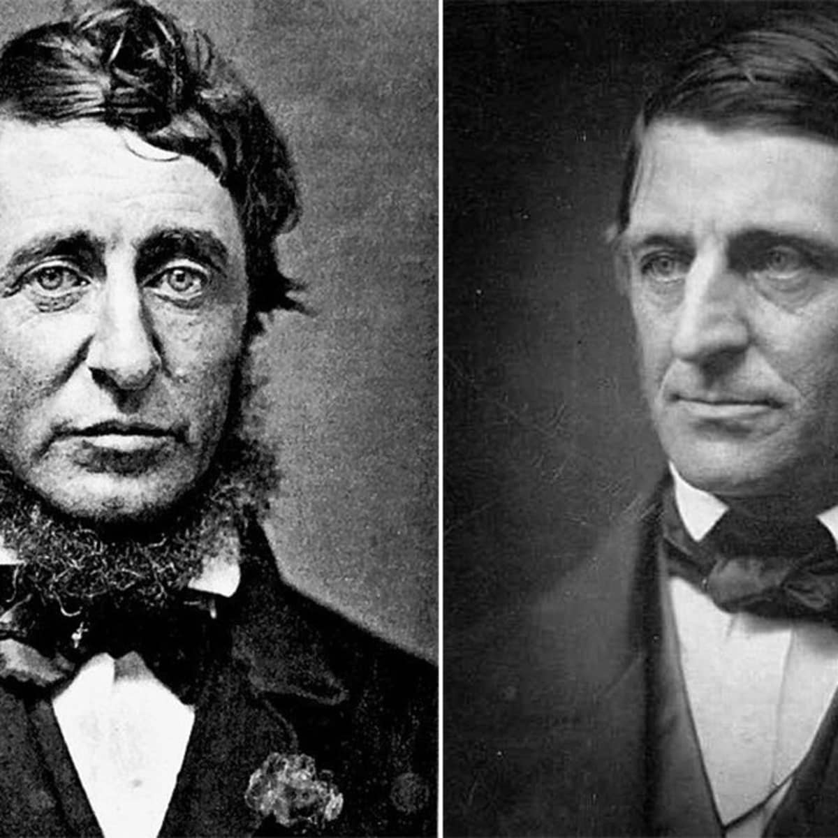 洋書 Emerson and Thoreau: Transcendentalists 81W0hmwHtJL._UF350,350_QL50_.jpg
