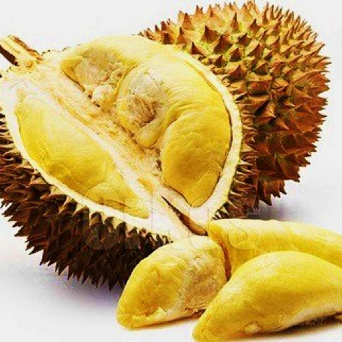 durian-the-king-of-fruits.jpg