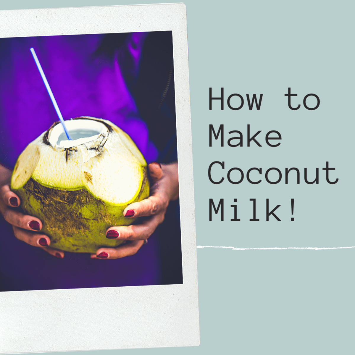 How to Make Coconut Milk at Home HubPages