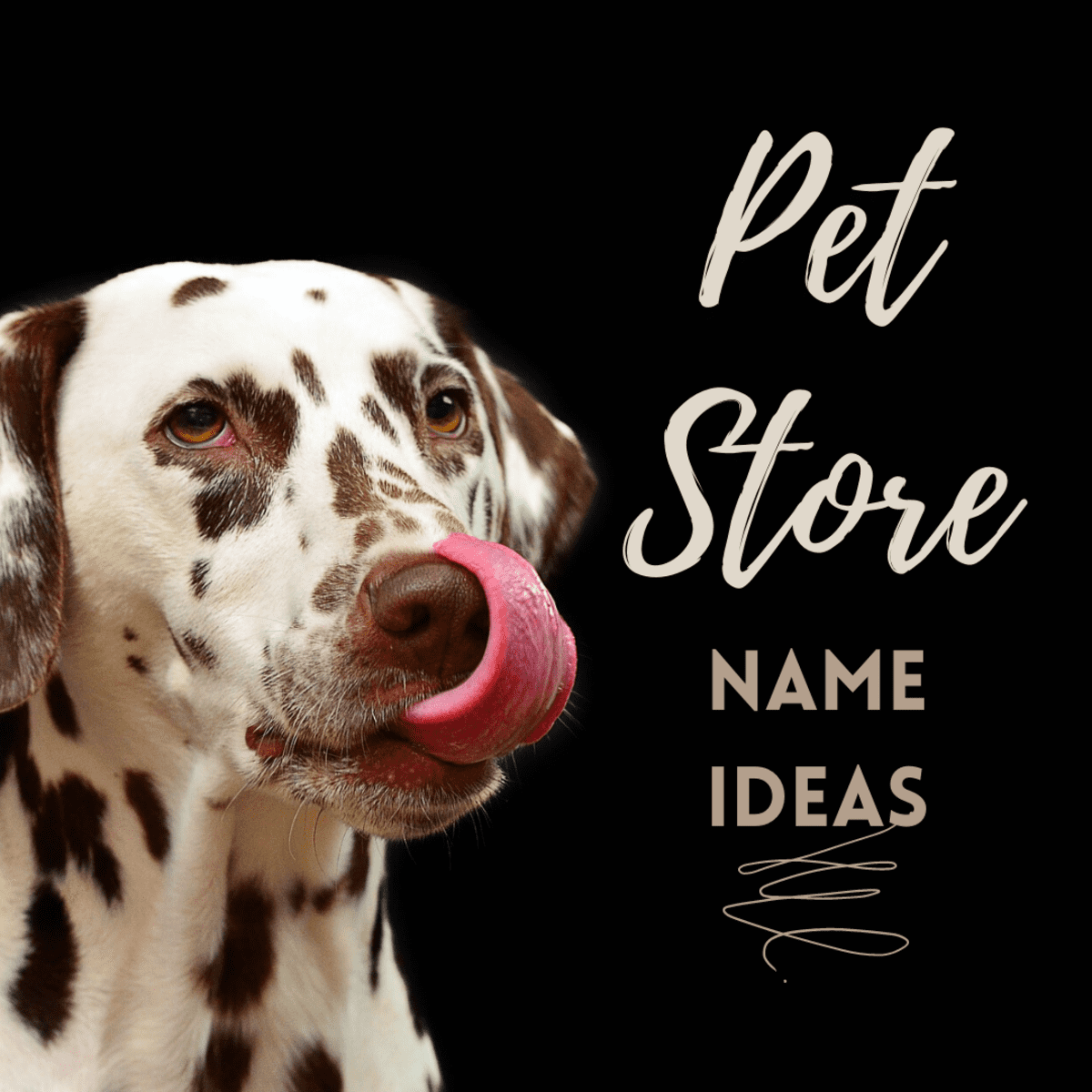 Pet store on sale names