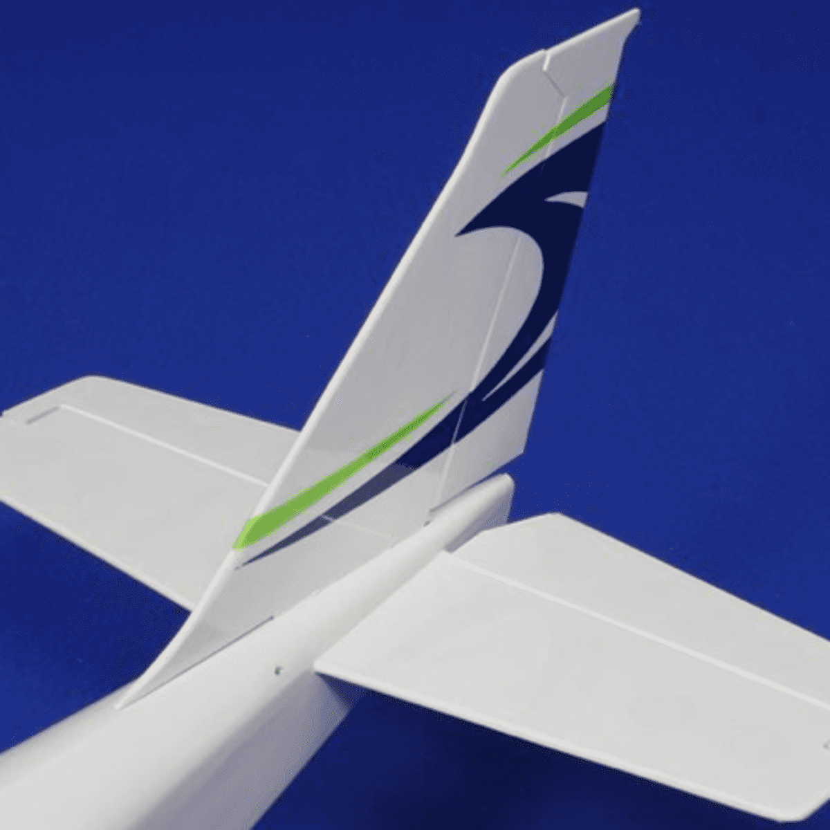 V tail 2025 rc plane