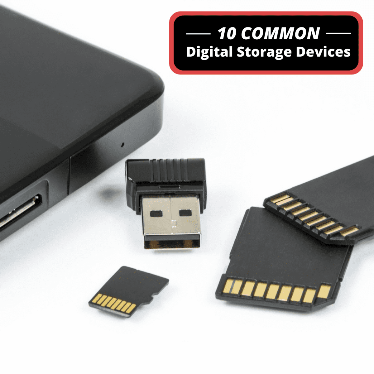 how to download pictures from sd card to computer