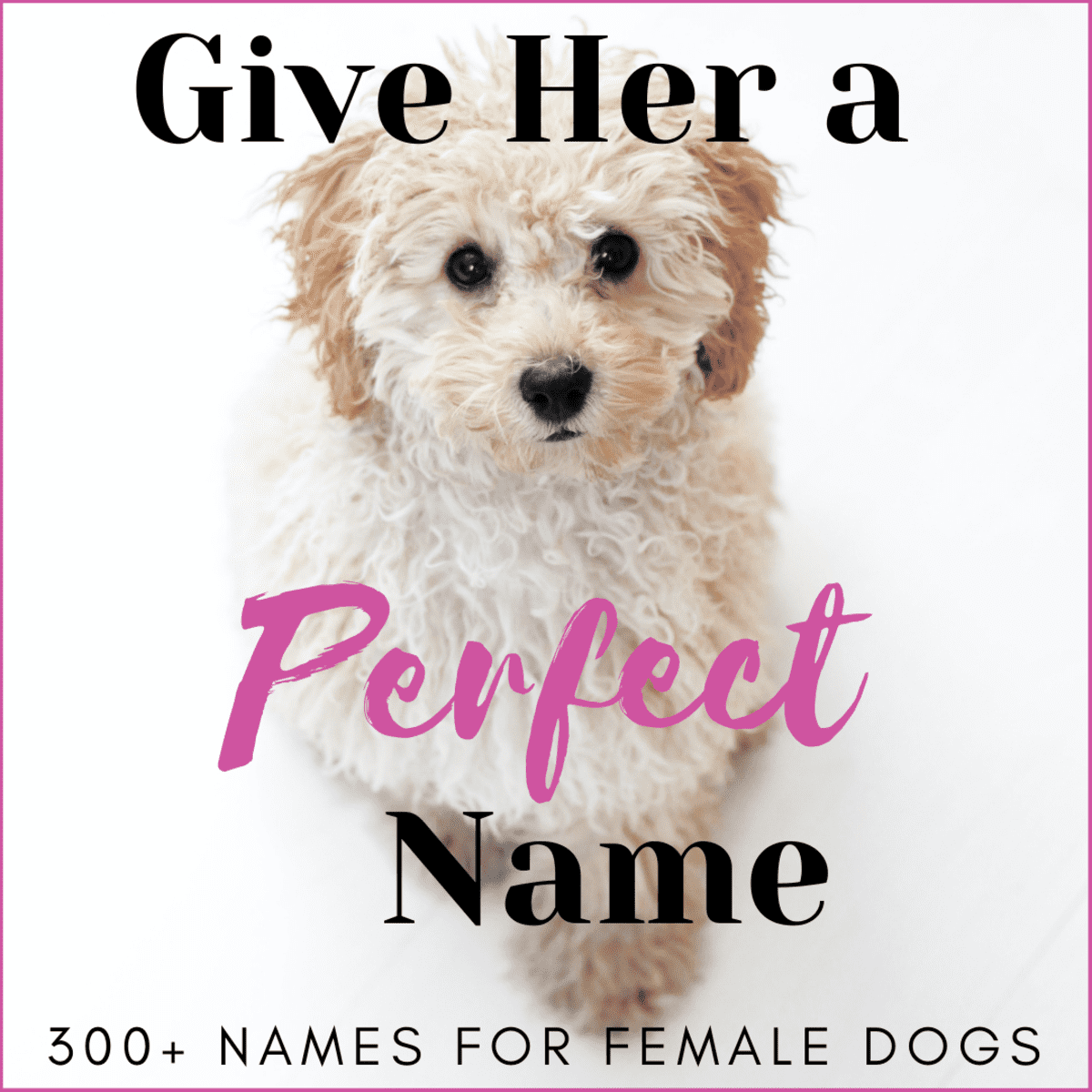 Badass girl best sale dog names