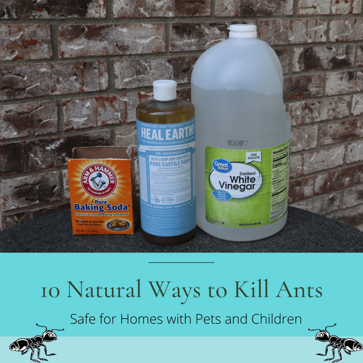 How to get rid online of ants naturally