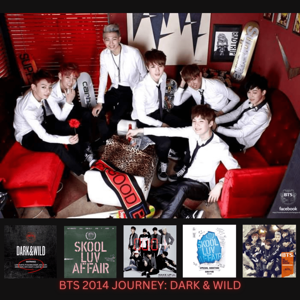 BTS 2014 Journey: Dark & Wild Era - HubPages