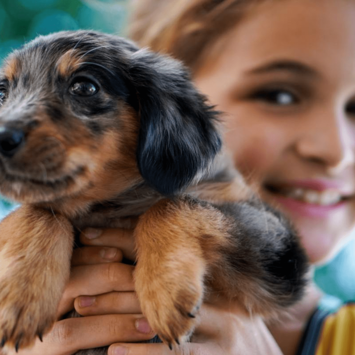 The 10 Best Dog Breeds for Kids HubPages