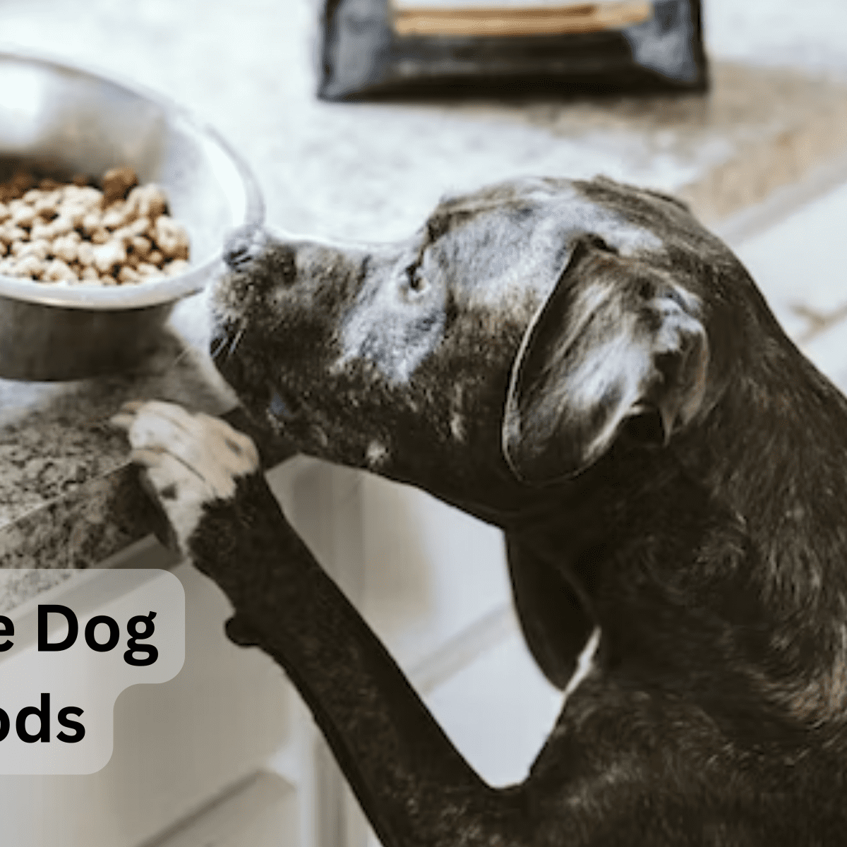 Grain free dog 2025 food warning list