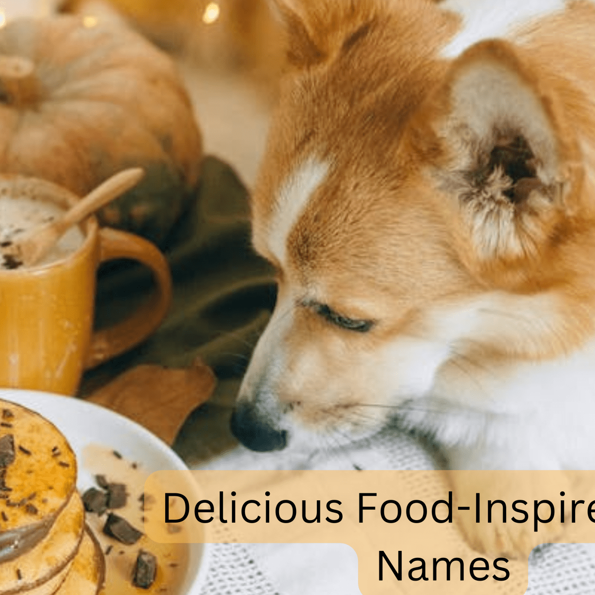 Best food shop names for dogs