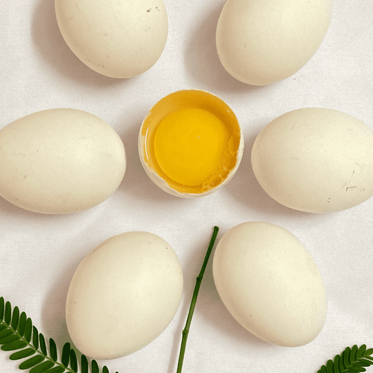 DIY Egg White Face Mask Recipes for Beautiful Skin Bellatory