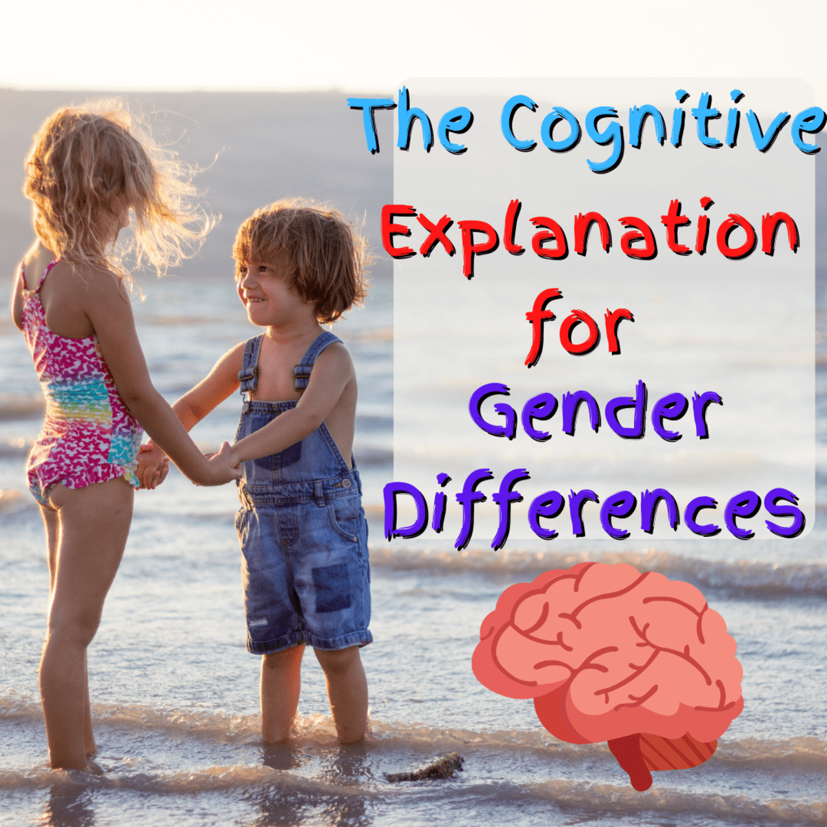 Cognitive development theory gender sale