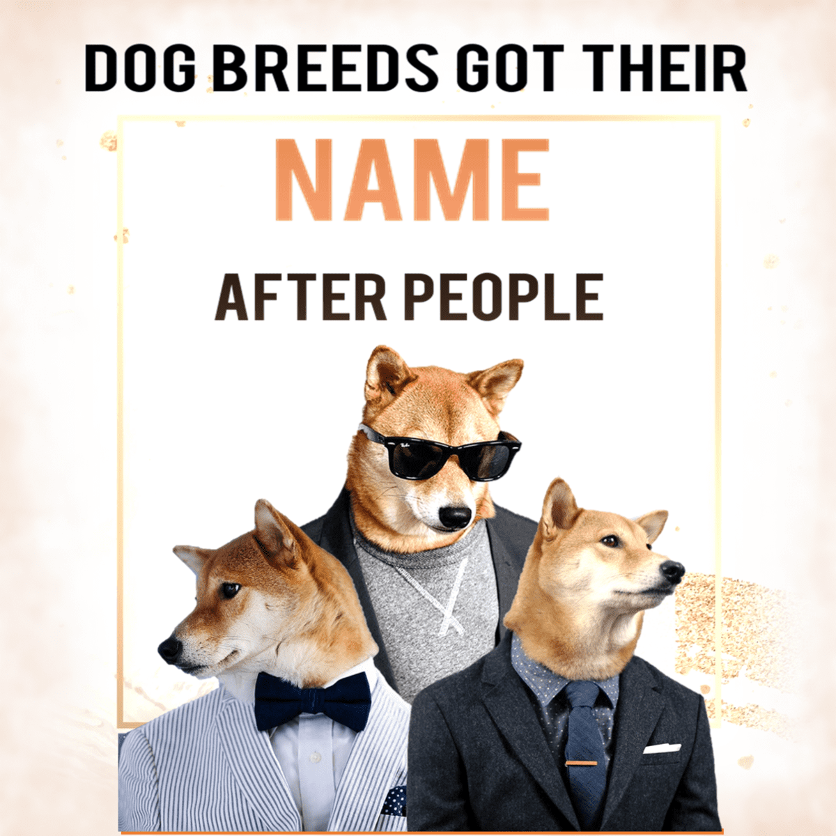 All dog breeds name sales and image