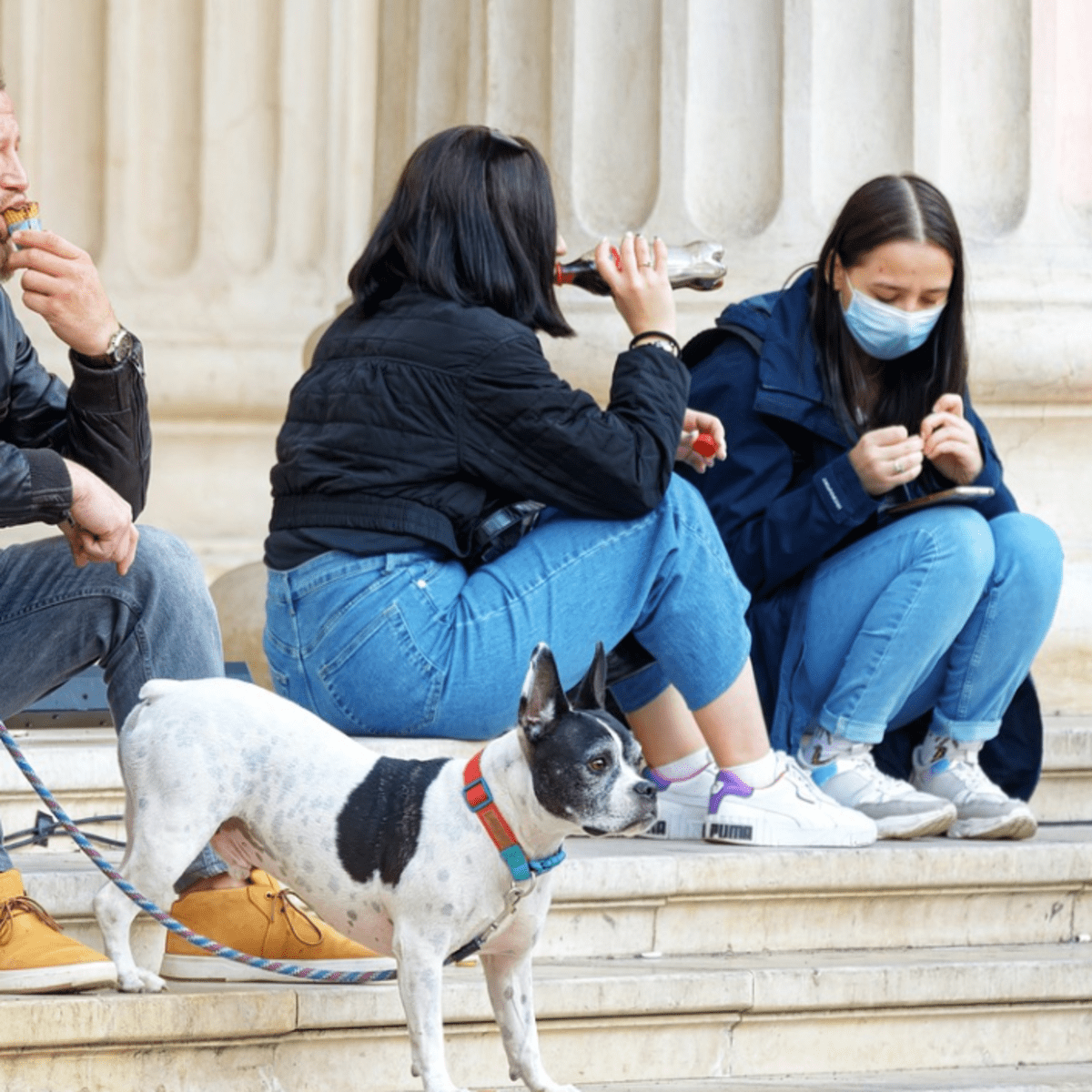 Safe drinks clearance for dogs