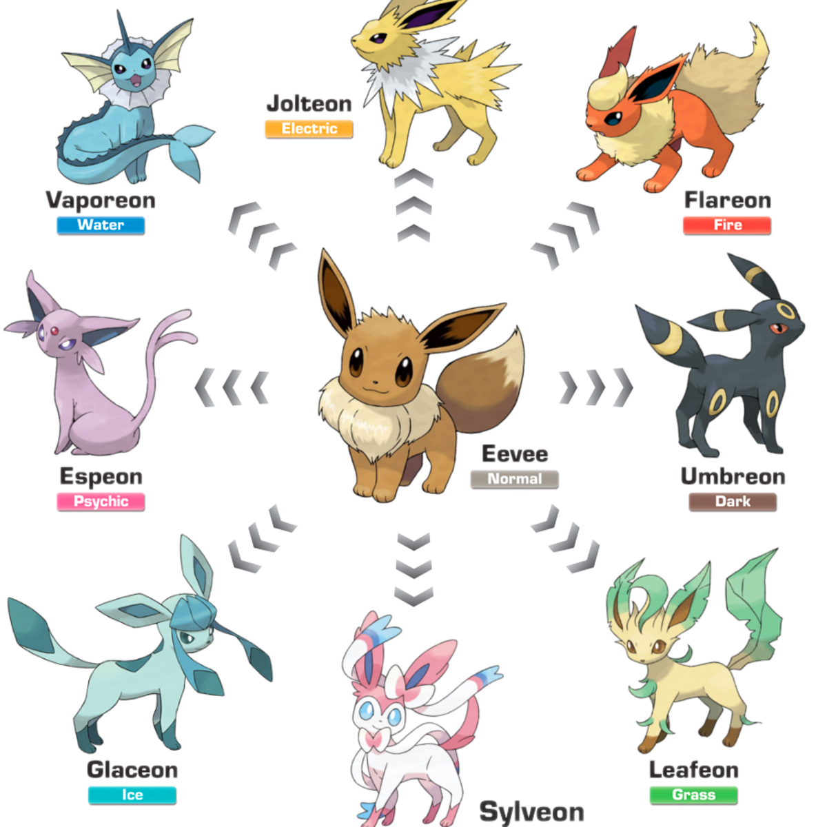 top-eevee-evolutions-in-