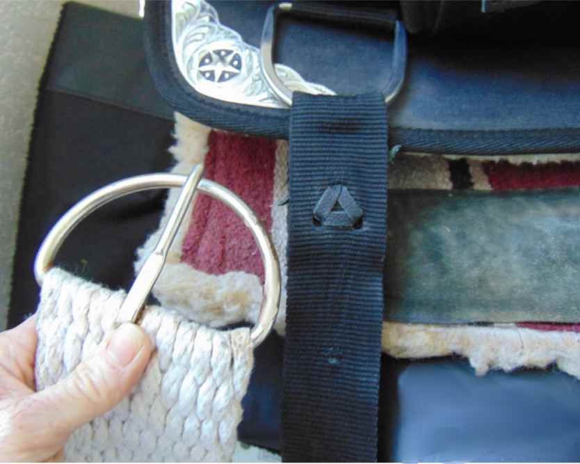 How to Tack Up a Horse Western StyleCorrectly! (Including Photos) HubPages