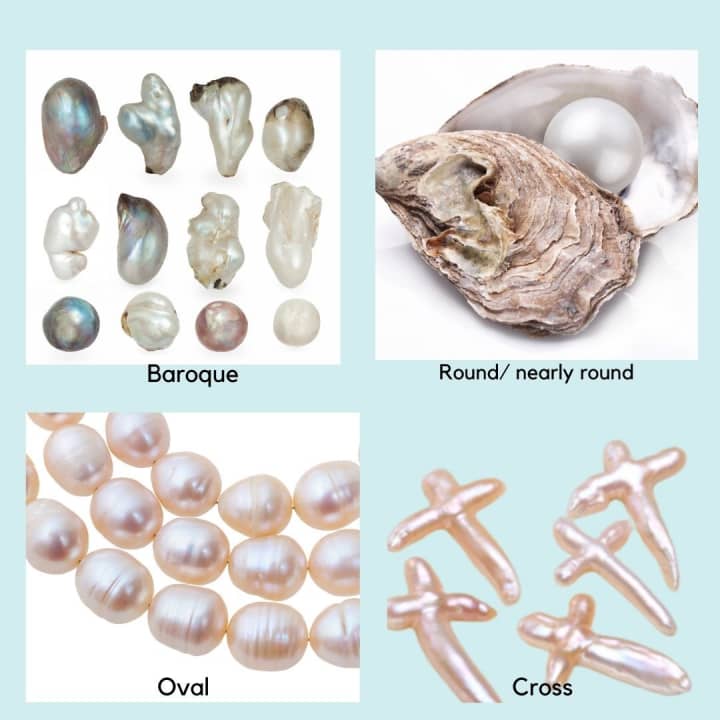 Pearl Cultivation And Popular Pearl Varieties - Owlcation