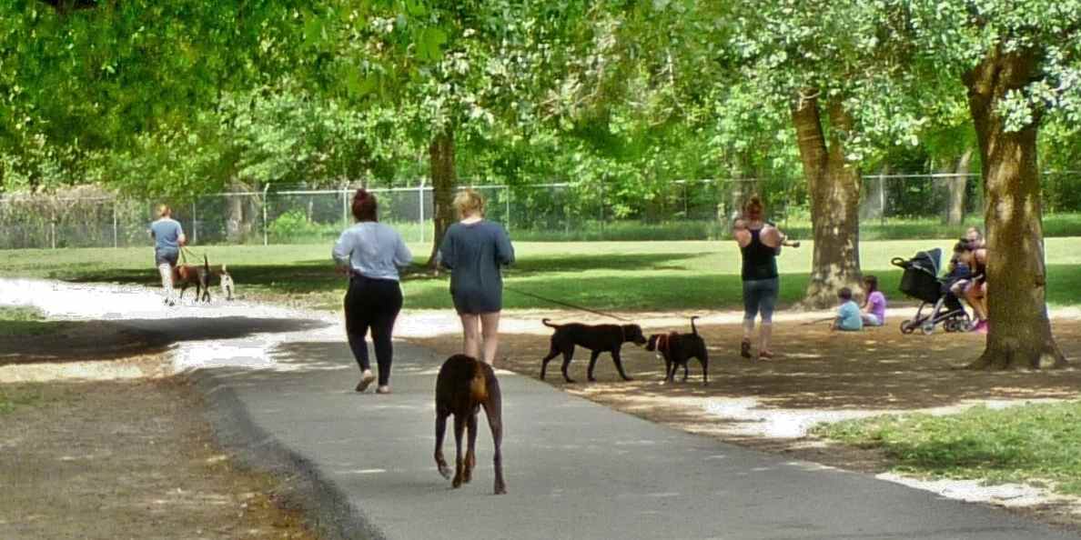 Katy Dog Park 14 Acres of Fun for People and Pets in Katy, TX