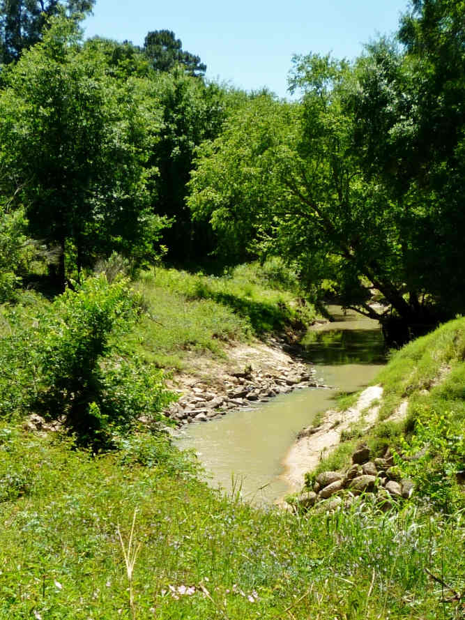 Little Cypress Creek Preserve Wildlife Habitat in Cypress, TX