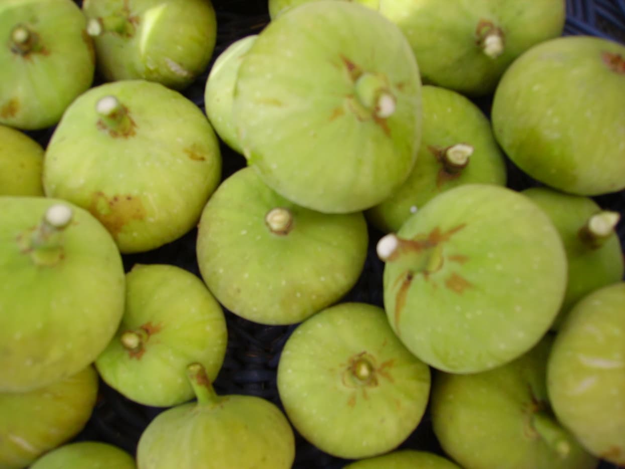 How to Dry Figs in the Sun Delishably
