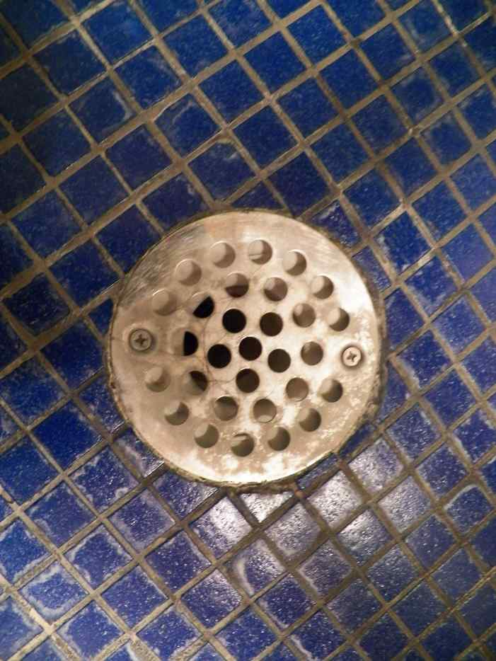How to Keep Shower Drains From Clogging Dengarden