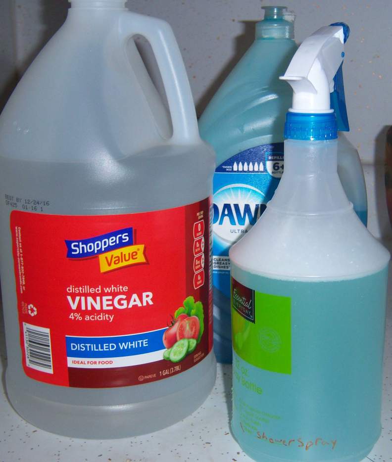 Top 5 Homemade Cleaning Products Dengarden