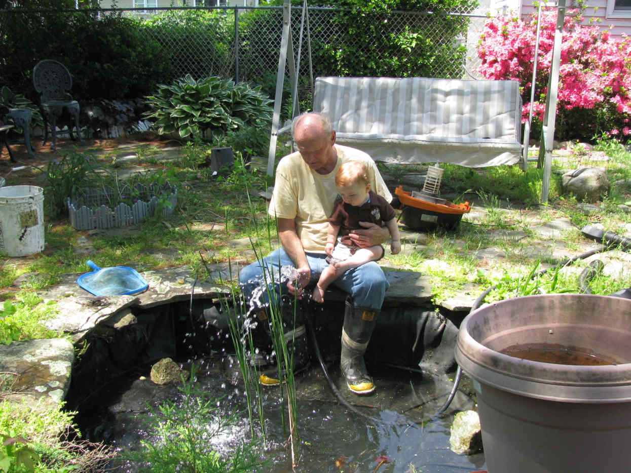 How to Make Your Own Backyard Pond Dengarden