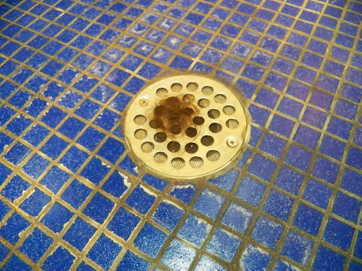 How to Keep Shower Drains From Clogging Dengarden