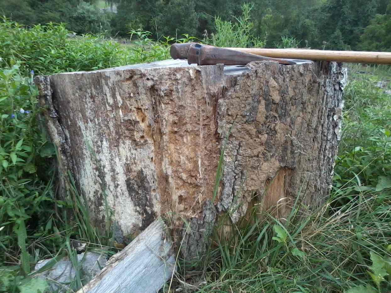 How to Chop Firewood Tools, Techniques, & Troubleshooting Basics